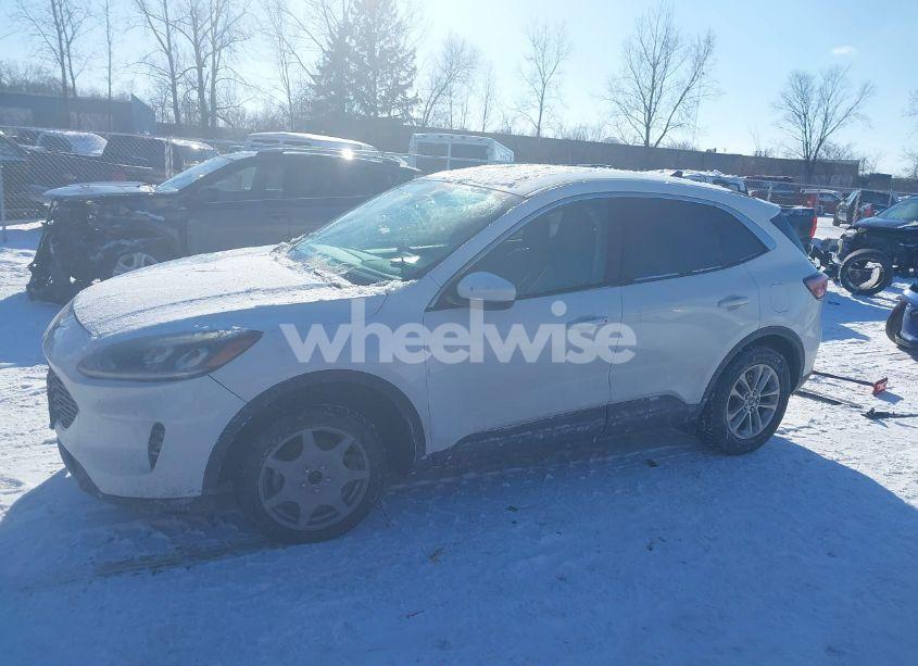 Photo 14 of 2020 Ford Escape SE (VIN 1FMCU0G67LUA49779)