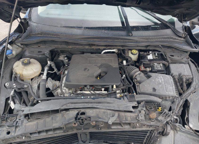 Photo 10 of 2020 Ford Escape SE (VIN 1FMCU0G67LUA69868)