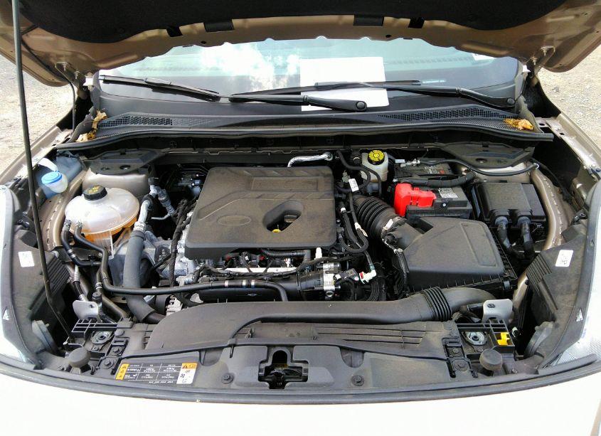 Photo 10 of 2020 Ford Escape SE (VIN 1FMCU0G67LUB92991)