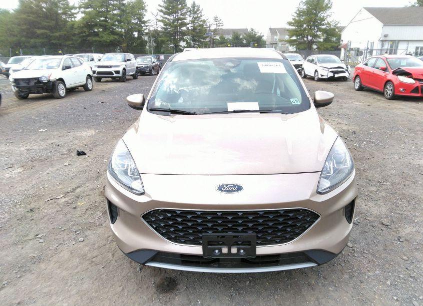 Photo 11 of 2020 Ford Escape SE (VIN 1FMCU0G67LUB92991)