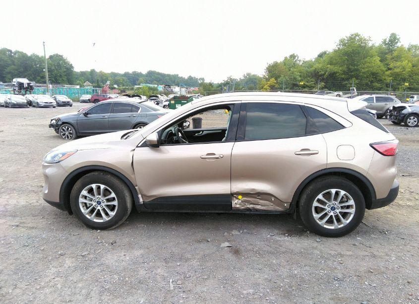 Photo 13 of 2020 Ford Escape SE (VIN 1FMCU0G67LUB92991)