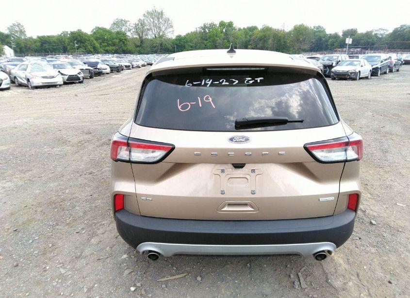 Photo 15 of 2020 Ford Escape SE (VIN 1FMCU0G67LUB92991)