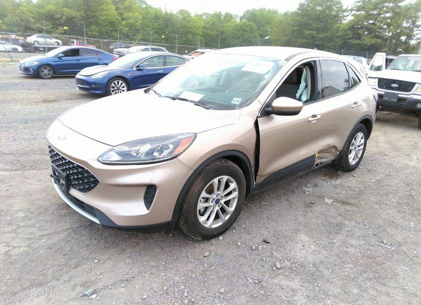 Photo 2 of 2020 Ford Escape SE (VIN 1FMCU0G67LUB92991)