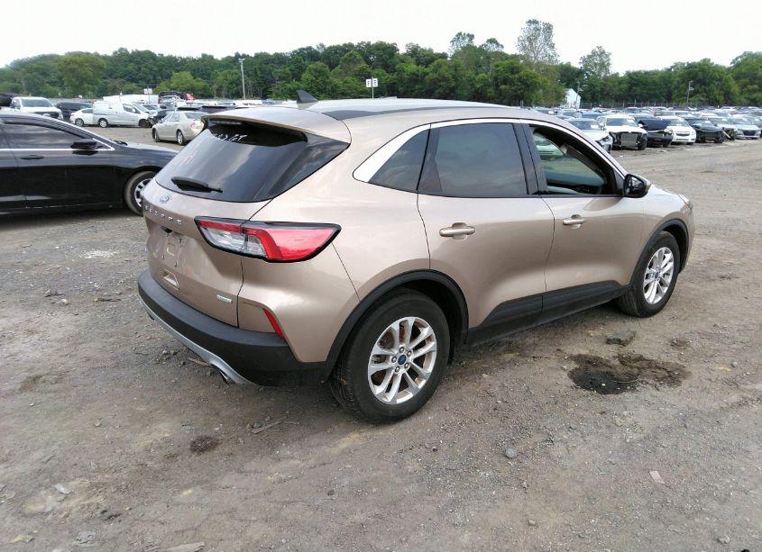 Photo 4 of 2020 Ford Escape SE (VIN 1FMCU0G67LUB92991)