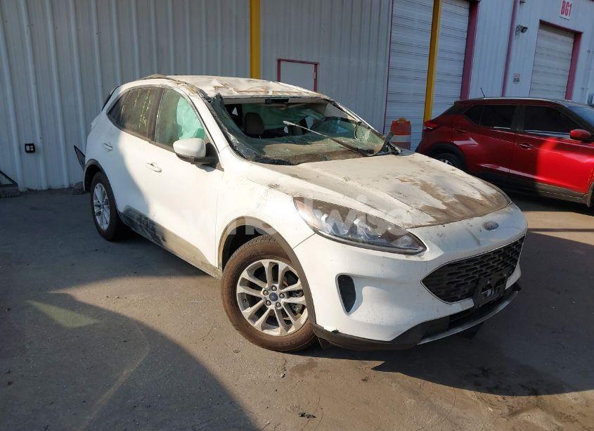2020 Ford Escape SE (VIN 1FMCU0G68LUA57308) main photo