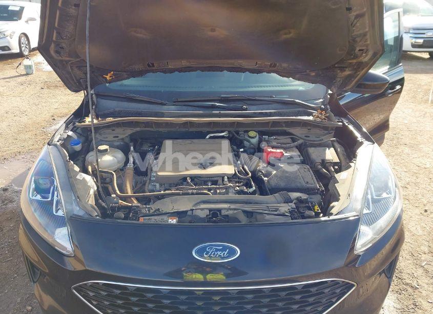 Photo 10 of 2020 Ford Escape SE (VIN 1FMCU0G68LUB02375)