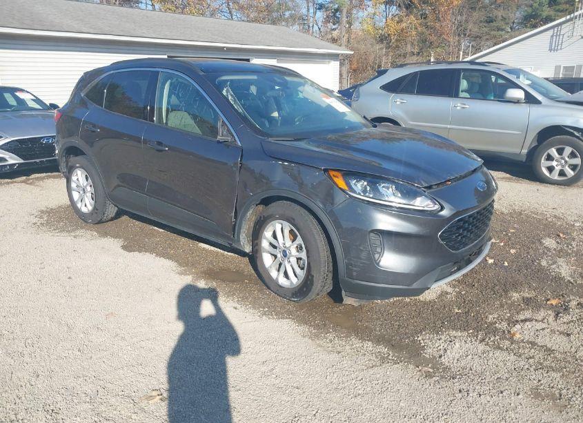 2020 Ford Escape SE (VIN 1FMCU0G68LUC42250) main photo