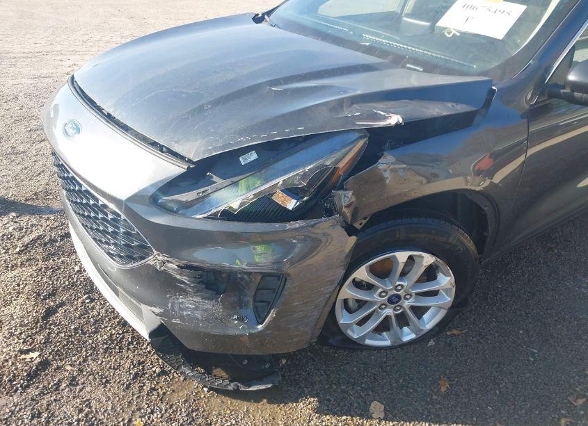 Photo 17 of 2020 Ford Escape SE (VIN 1FMCU0G68LUC42250)