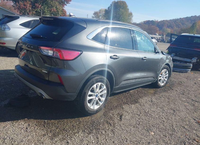 Photo 4 of 2020 Ford Escape SE (VIN 1FMCU0G68LUC42250)