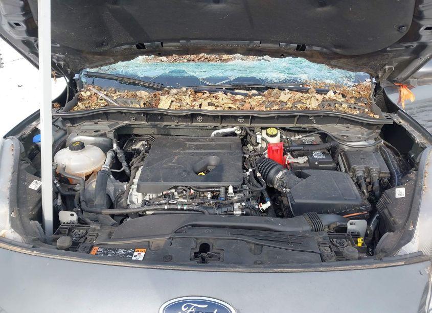 Photo 10 of 2020 Ford Escape SE (VIN 1FMCU0G69LUB00862)