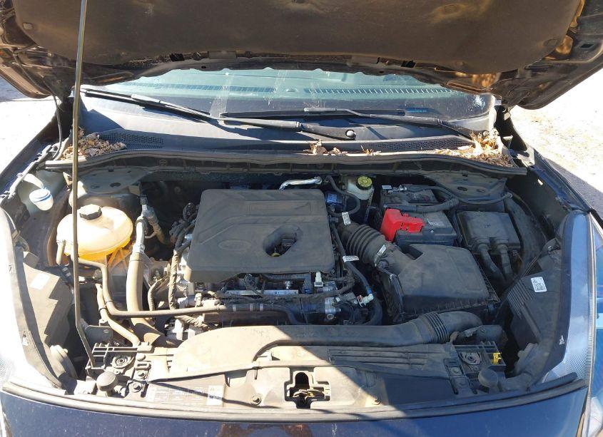 Photo 10 of 2020 Ford Escape SE (VIN 1FMCU0G69LUB41279)