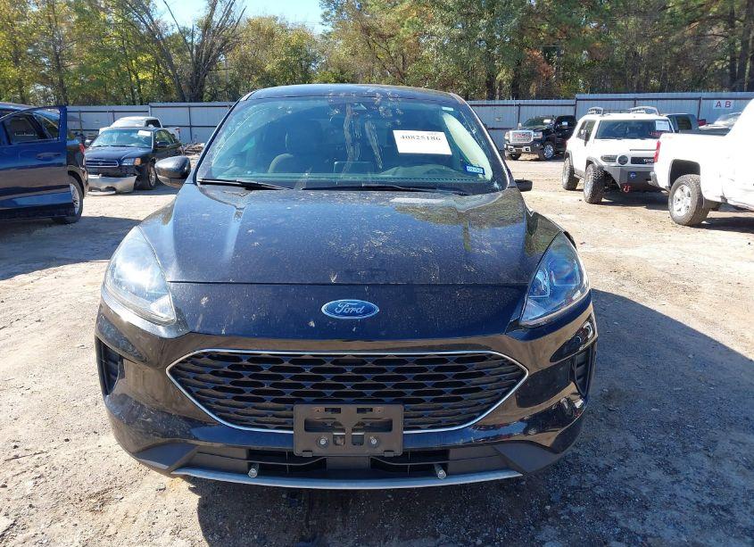 Photo 12 of 2020 Ford Escape SE (VIN 1FMCU0G69LUB41279)