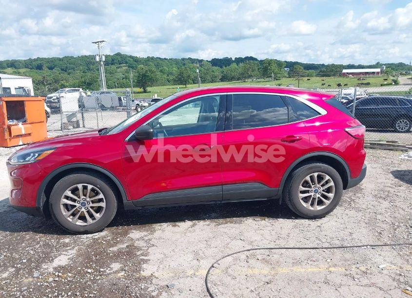 Photo 14 of 2022 Ford Escape SE (VIN 1FMCU0G69NUB54973)