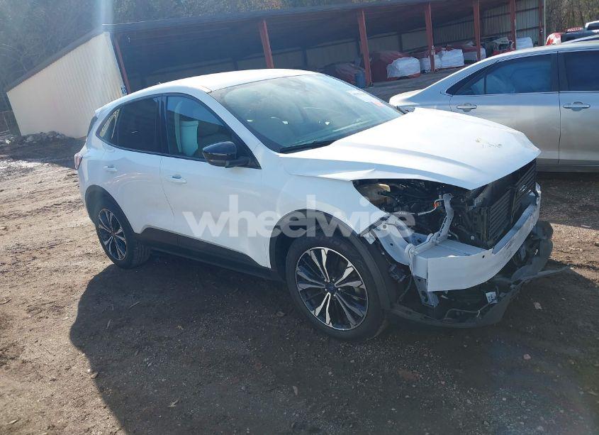 2021 Ford Escape SE (VIN 1FMCU0G6XMUA19550) main photo