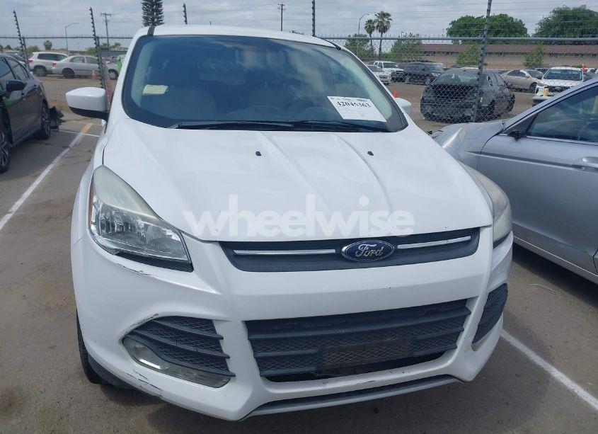 Photo 13 of 2015 Ford Escape SE (VIN 1FMCU0G70FUA44162)