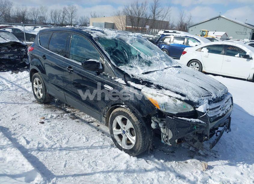 2016 Ford Escape SE (VIN 1FMCU0G70GUA19117) main photo