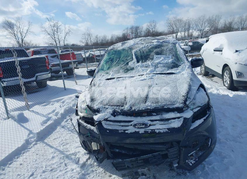 Photo 12 of 2016 Ford Escape SE (VIN 1FMCU0G70GUA19117)