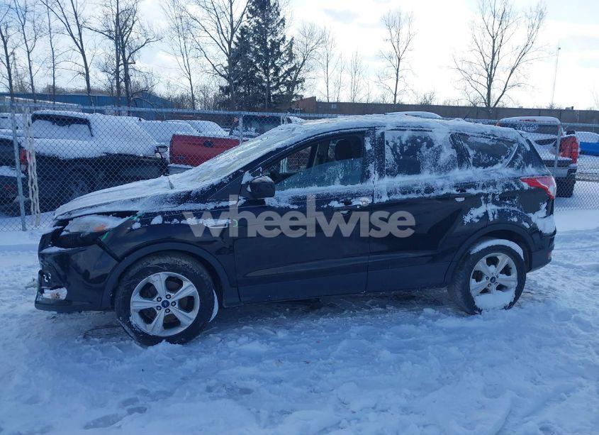 Photo 14 of 2016 Ford Escape SE (VIN 1FMCU0G70GUA19117)