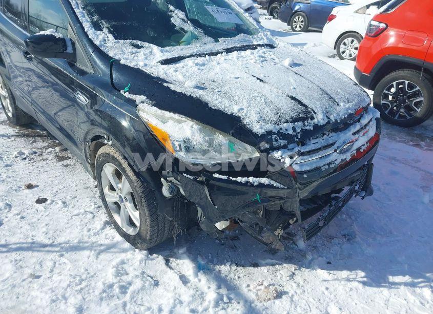 Photo 6 of 2016 Ford Escape SE (VIN 1FMCU0G70GUA19117)