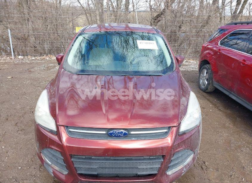 Photo 6 of 2015 Ford Escape SE (VIN 1FMCU0G71FUA08027)