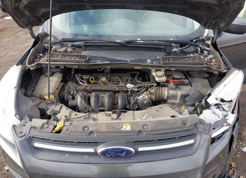 Photo 10 of 2015 Ford Escape SE (VIN 1FMCU0G71FUA90129)