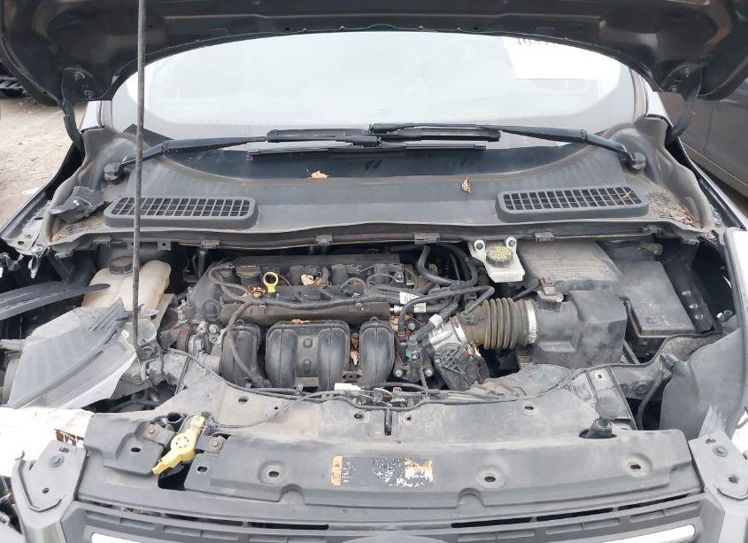 Photo 10 of 2015 Ford Escape SE (VIN 1FMCU0G72FUA39450)