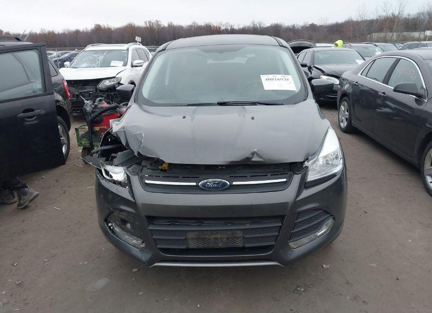 Photo 12 of 2015 Ford Escape SE (VIN 1FMCU0G72FUA39450)