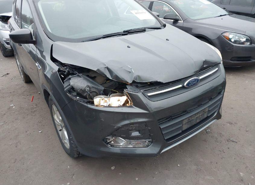Photo 6 of 2015 Ford Escape SE (VIN 1FMCU0G72FUA39450)