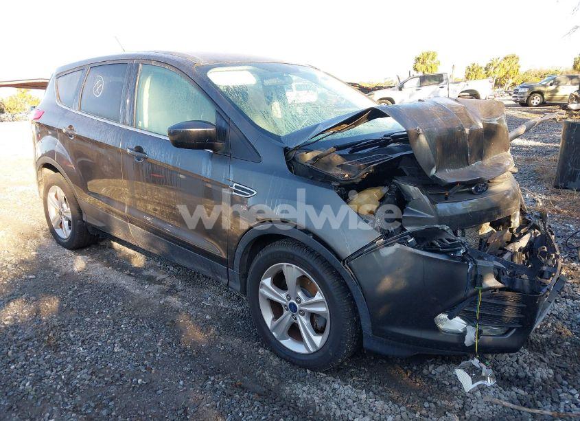 2016 Ford Escape SE (VIN 1FMCU0G72GUA42592) main photo
