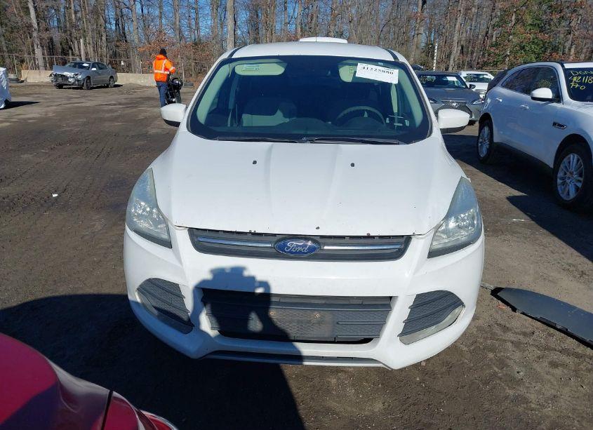 Photo 12 of 2016 Ford Escape SE (VIN 1FMCU0G72GUA92327)