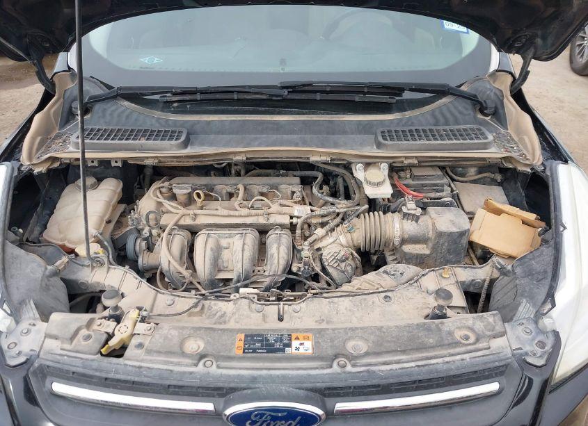 Photo 10 of 2016 Ford Escape SE (VIN 1FMCU0G73GUA09973)