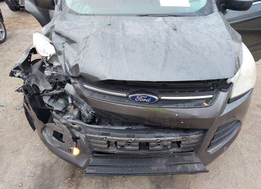Photo 6 of 2016 Ford Escape SE (VIN 1FMCU0G73GUB39803)