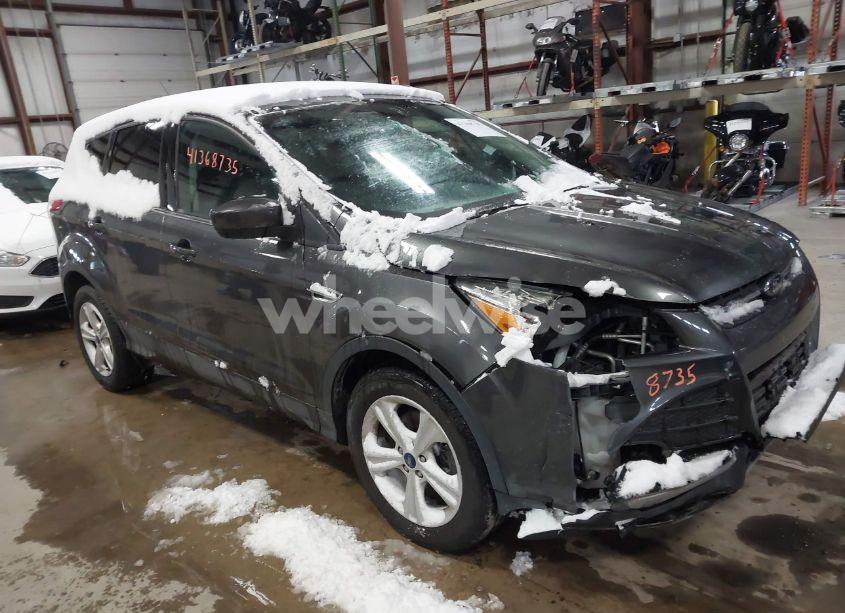 2015 Ford Escape SE (VIN 1FMCU0G74FUA41409) main photo