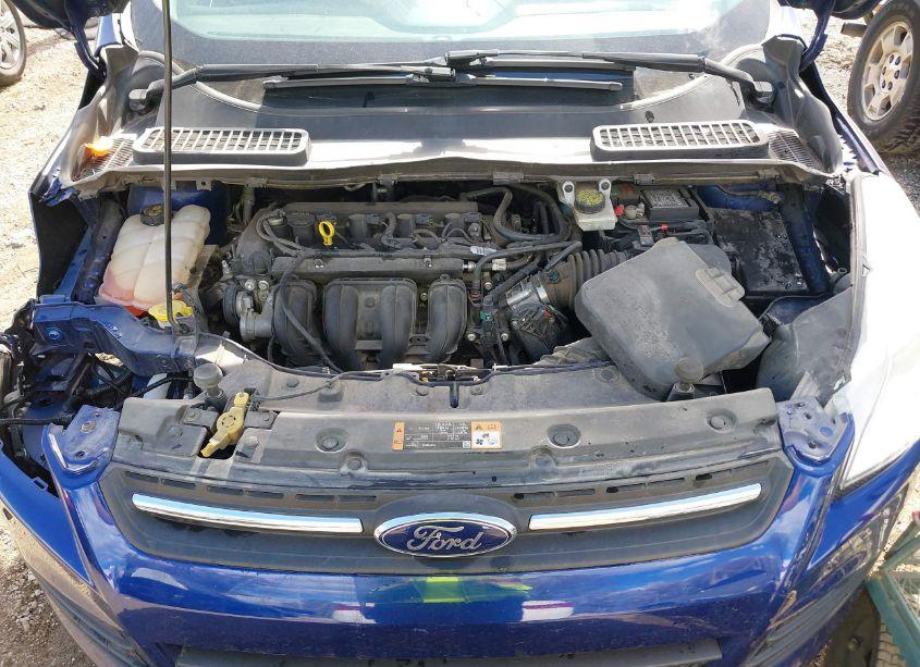 Photo 10 of 2015 Ford Escape SE (VIN 1FMCU0G76FUA76243)