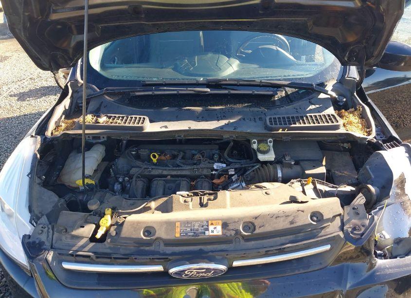 Photo 10 of 2015 Ford Escape SE (VIN 1FMCU0G77FUA65557)