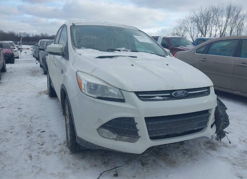 2015 Ford Escape SE (VIN 1FMCU0G77FUC57951) main photo