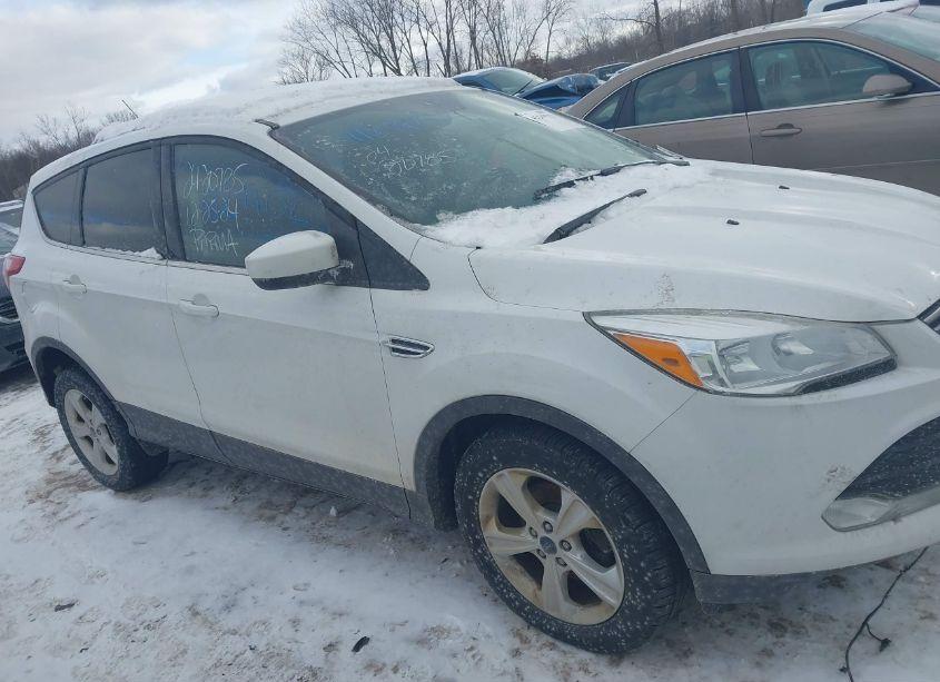 Photo 13 of 2015 Ford Escape SE (VIN 1FMCU0G77FUC57951)
