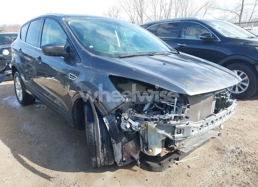 2016 Ford Escape SE (VIN 1FMCU0G78GUA20032) main photo