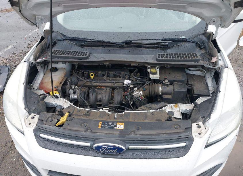 Photo 10 of 2016 Ford Escape SE (VIN 1FMCU0G78GUB08238)