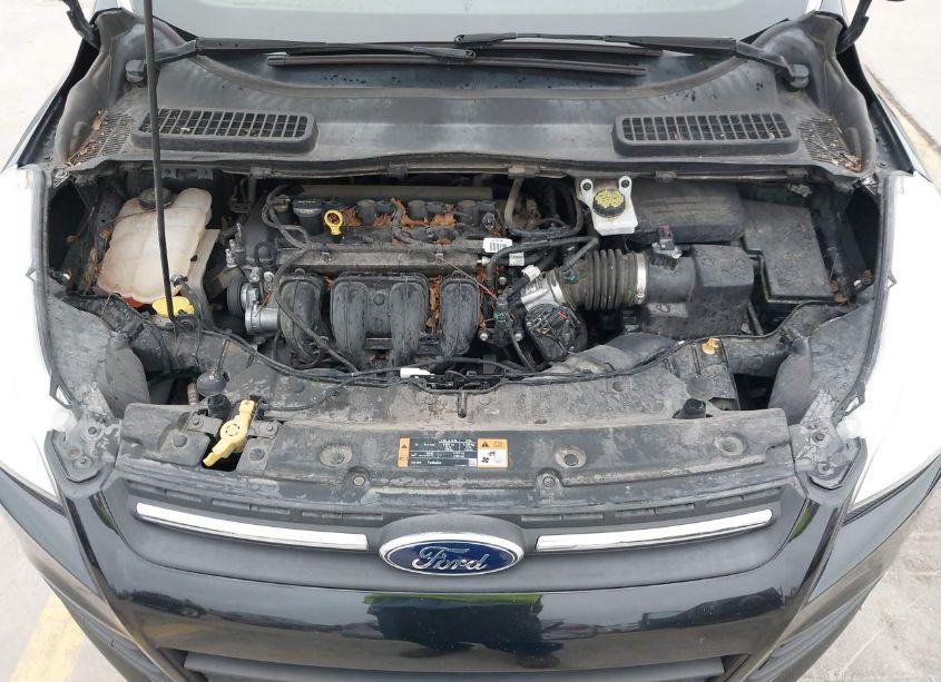 Photo 10 of 2015 Ford Escape SE (VIN 1FMCU0G79FUA90864)