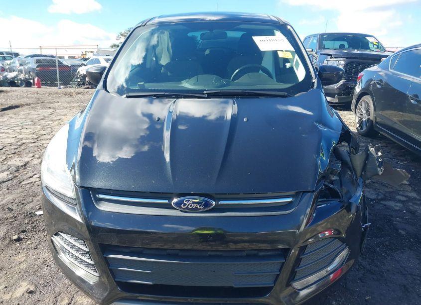Photo 12 of 2015 Ford Escape SE (VIN 1FMCU0G7XFUA21309)