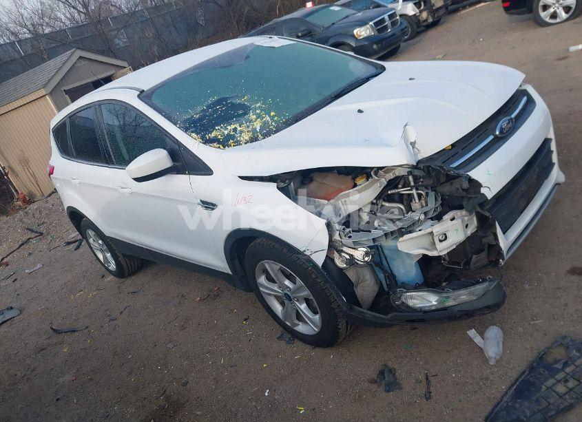 2015 Ford Escape SE (VIN 1FMCU0G7XFUA62569) main photo