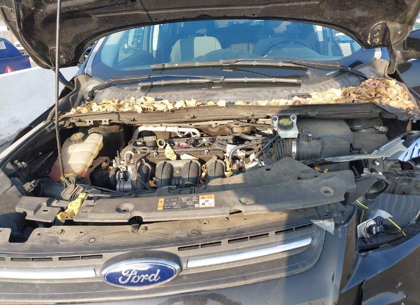 Photo 10 of 2015 Ford Escape SE (VIN 1FMCU0G7XFUB31275)