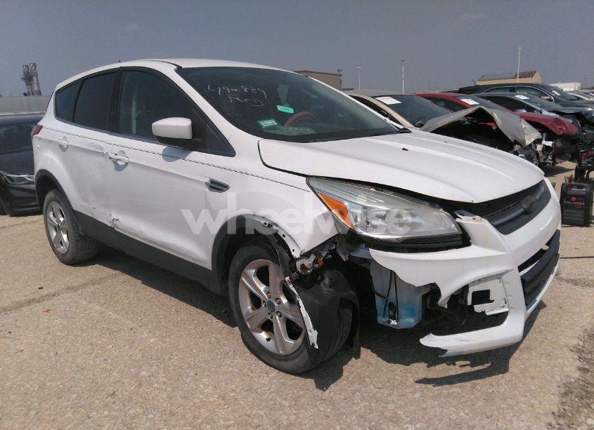 2013 Ford Escape SE (VIN 1FMCU0G90DUC12784) main photo