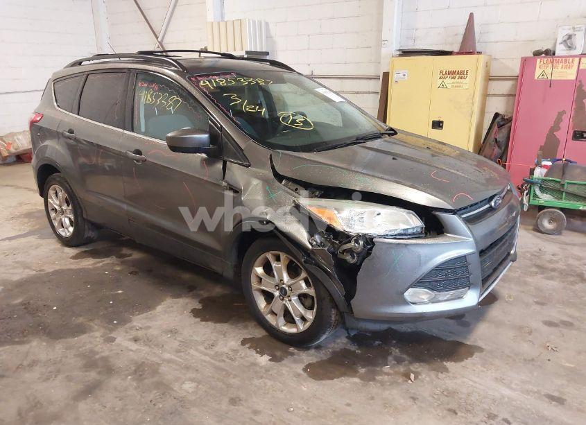 2013 Ford Escape SE (VIN 1FMCU0G90DUD49580) main photo
