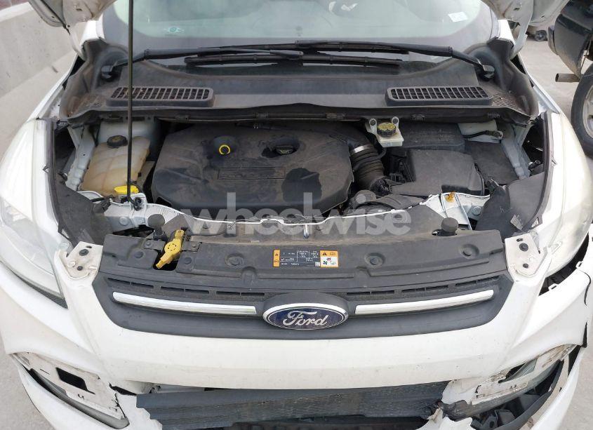 Photo 10 of 2014 Ford Escape SE (VIN 1FMCU0G90EUB90979)