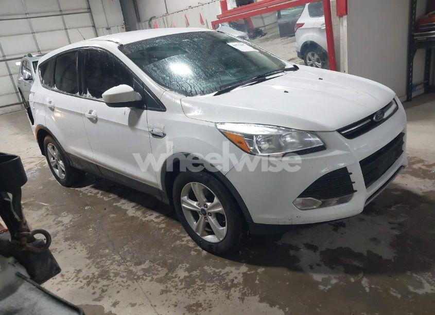 2014 Ford Escape SE (VIN 1FMCU0G90EUD38578) main photo