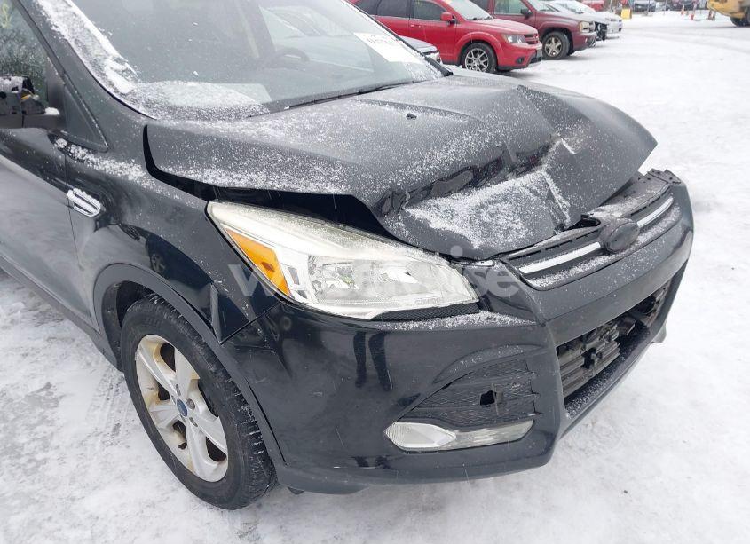 Photo 18 of 2015 Ford Escape SE (VIN 1FMCU0G90FUB38382)