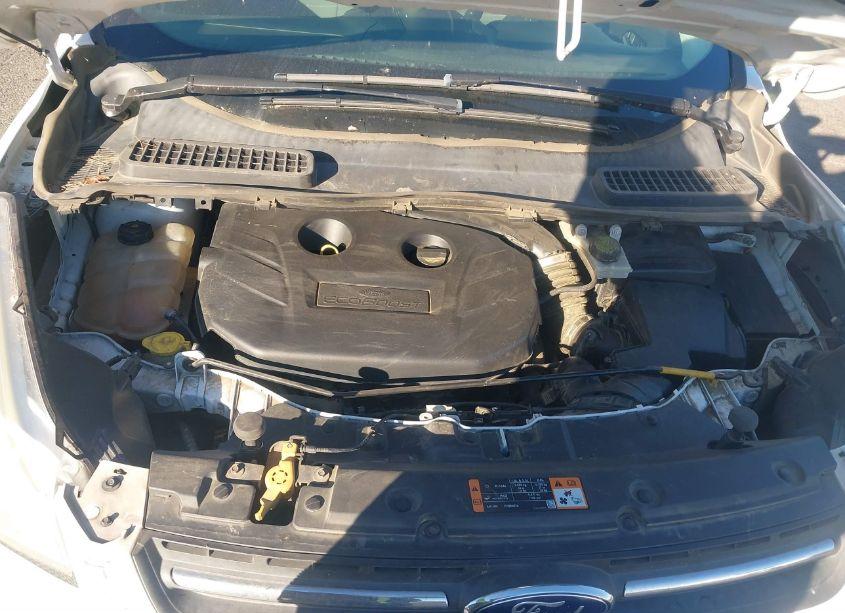 Photo 10 of 2015 Ford Escape SE (VIN 1FMCU0G90FUC07703)