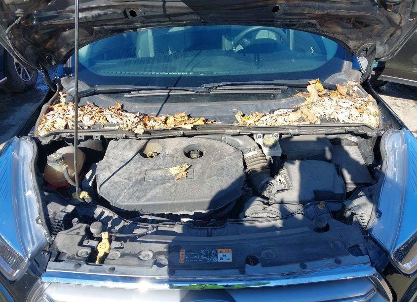 Photo 10 of 2017 Ford Escape SE (VIN 1FMCU0G90HUE15826)